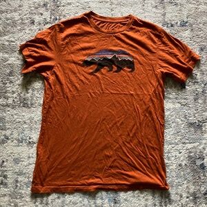 Excellent Condition Patagonia Tshirt Size Medium